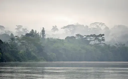 Image by Sergey Uryadnikov / Shutterstock. Democratic Republic of the Congo-Brazzaville, undated.